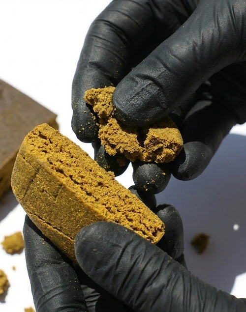 Amnesia hash